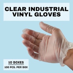 Disposable Vinyl Gloves, Latex Free, Case of 1000 Gloves – Large