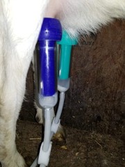 ULTIMATE EZ™ MILKER