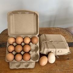 Ruralty Recycled Cardboard Egg Cartons 200ct Dozen 4×3 Vintage Bulk Egg Cartons