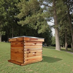 Beehive 20 Frame Complete Box Kit (10 Deep-10 Medium) Langstroth Beekeeping
