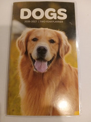 2-Year, 2026-2027, Pocket Calendar, Choice of Kitten, Dog or Butterfly