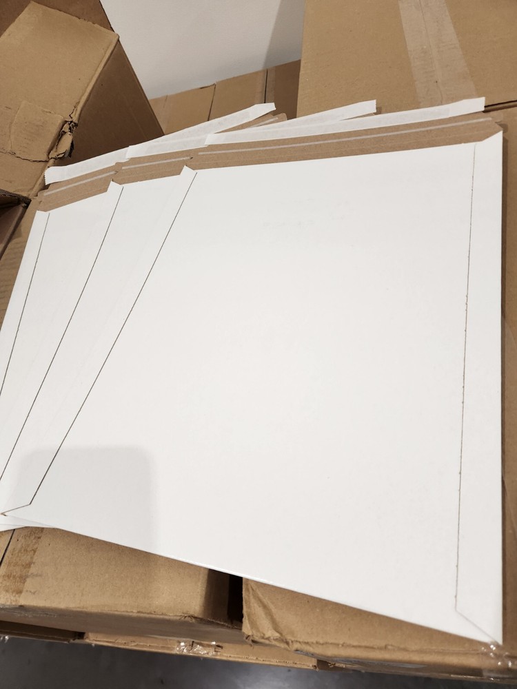 100 – 11×13.5” Rigid Flat Photo Mailers – Self-Seal – Pag Worldwide