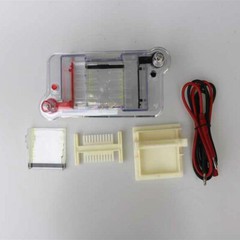Horizontal Electrophoresis Tank High School Biological Equipment 122-3122 27022
