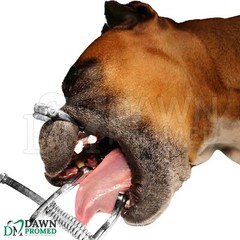 4 Pcs Canine Mouth Opening Gag Set S, M, L, XL Animals Veterinary Inst German Gr