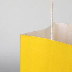 100 Pack 8×4.75×10 Inch Medium Yellow Kraft Paper Bags with Handles Bulk for …