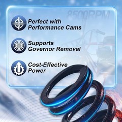36lb Valve Spring Kit For 212cc For 200 For Non-HEMI Clone 200 For Size: 36lb