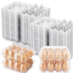 SINLUCESCE 100 Packs Egg Cartons Cheap Bulk，Plastic 3×4 ，100Pack, transparent