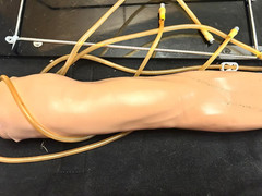 Gaumard Right Handed Training Arm Manikin