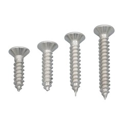 550Piece 304 Stainless Steel Wood Screws Assortment Kit Phillips Flat Head Sheet