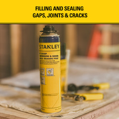 Stanley F948 All Seasons Pro Gap Filler Gun Foam 24oz, 2 Pack -Gun Included Set