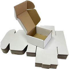 4X4X2 Shipping Boxes Set of 100, White Small Corrugated Cardboard Box, Mailer Bo