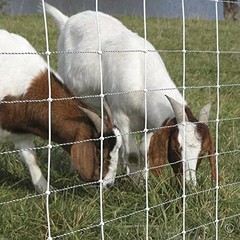 Premier 1 ElectroStop Portable Electric Fence 42″H x 164’L White Sheep Goats