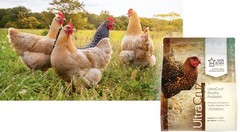 UltraCruz� Poultry Probiotic, 2 lb