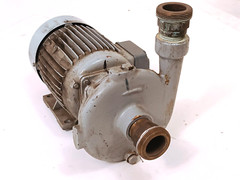 Calpeda Electric Pump BC 22/1 Pump L/min: 25/100 A2.72/1.57 50Hz m19.5/13