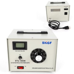 110V 0-300V STG-1000W Variac Autotransformer Voltage Regulator Power Supply AC