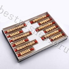 Acrylic Resin Denture Teeth VITA A2 – 23 Upper Lower Oral Dental 3 Set of 84*1