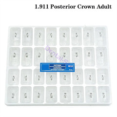 Dental Preformed Crown For Adults & Kids Temporary Pre-corona Anterior Molar