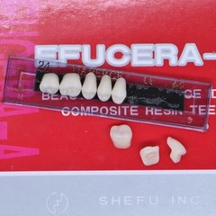 840Pcs Dental Acrylic Resin Denture 24# A2 Full Set Teeth Upper Lower Shade US