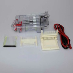 Horizontal Electrophoresis Tank High School Biological Equipment 122-3122 27022