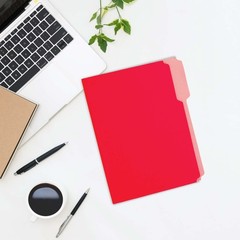 BAZIC 1/3 Cut Letter Size Color File Folder 1-Pack, Red/Yellow/Blue/Green