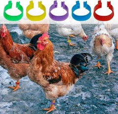 Durable 20mm Poultry Leg Bands – 50 Pack with 5 Vibrant Colors for Easy Sorting