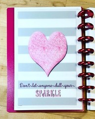 Gray/White Stripe Pink Glitter DASHBOARD 4 use w/ the TUL/Arc (8 disc) Planner