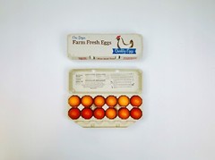 Printed Egg Carton (Chicken) – 100 units