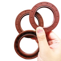 Oil Seal Metric Size Rotary Shaft Seal 22 to 26mm Inner diameter FKM Rubber 70