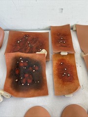 Traumatic Wound Simulation Lot Of 27 For Education Medical Plastics Laboratory