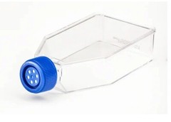 (25/Pk) VWR AVANTOR 250mL Tissue Culture Flasks 75.0cm2 Vent Cap 10861-646