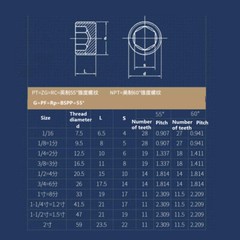 Stainless Steel Internal Hex Male Blanking Plug with BSPP, BSPT and NPT Threads