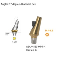 Hiossen ET Dental TI Cement-retained restoration 17° Angulated Abutment M/R Hex