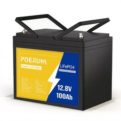 12V 100Ah LiFePO4 Lithium Battery Deep Cycle BMS for Solar Panel Marine Off-Grid