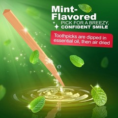 Stim-U-Dent Wooden Dental Picks Mint Flavor Travel Packs of 600 for Plaque Re…
