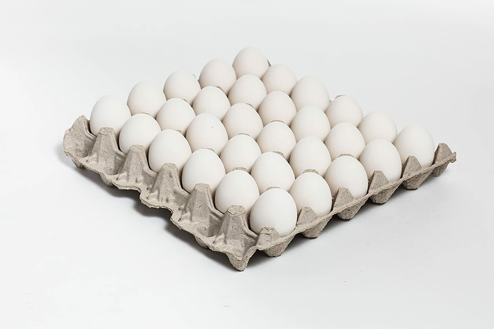 140 New 30 Count Egg Trays Crates Flats Crickets Geckos Lizards MADE IN THE USA