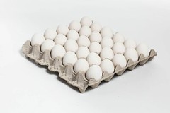 140 New 30 Count Egg Trays Crates Flats Crickets Geckos Lizards MADE IN THE USA