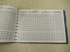 Dome Simplified Home Budget Book (Vintage)