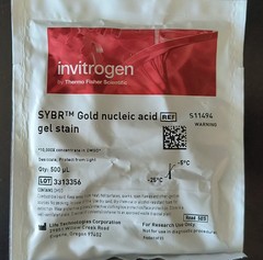 SYBR Gold Nucleic Acid Gel Stain (10,000X Concentrate) 500ul Invitrogen S11494
