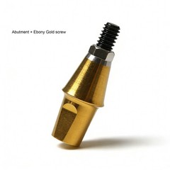 Dental Titanium Cemented Straight Abutment Fit Hiossen ET Regular Hex Platform