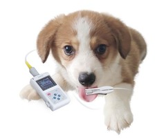 Veterinary Pulse Oximter 24 Hours SPO2 monitor Blood Oxygen Rate VET+Software