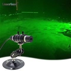 532nm Green Line Module for Scary House Laser Swamp Laser Pond Garden Decoration