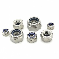 304 Stainless M6 M8 M10 M12 Left Hand Thread Nylon Insert Lock Nuts Nyloc Nuts