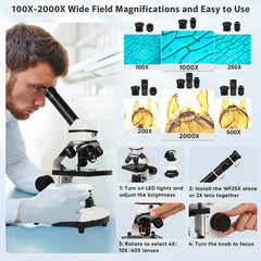 Microscope for 5.9 inches (L) x 3.94 (W) x 10.7 (H), White