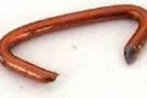 NEW SEYMOUR RN-H2 BOX 100 SHOAT COPPER COATED HOG PIG RINGS 8446031