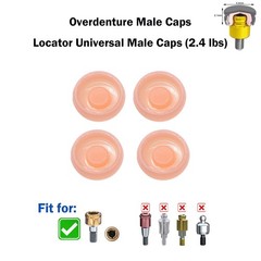US Osstem HIOSSEN ET Mini Locator Overdenture Abutment Locator Male Caps Tool