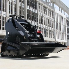 Mini Skid Steer Loader 13.5HP Rato Gas Engine Tracked Hydraulic for Farm Garden