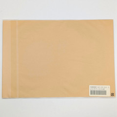 Hobonichi Techo Illustrated Clear Cover on Cover Crazy Flower A6 Original New