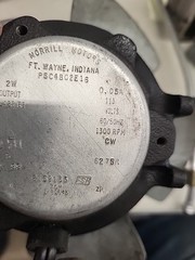 OEM Morrill Motors PSC4BC2E16 Bearing Motor 0.05A,115 1300RPM