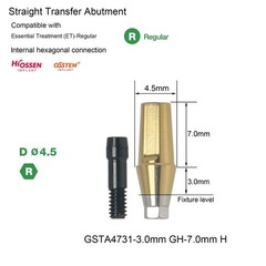 Titanium Pre-milled Straight Abutment 3.0mm GH Dental abutment fit Hiossen OSSTE