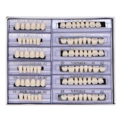 840Pcs Dental Acrylic Resin Denture 24# A2 Full Set Teeth Upper Lower Shade USA